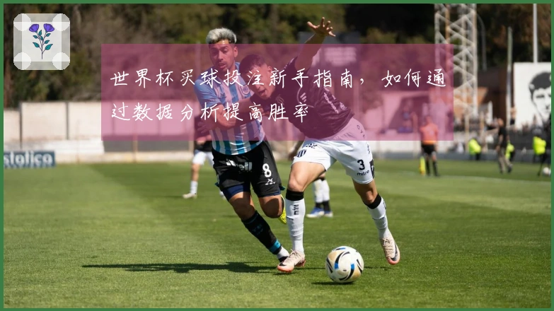 世界杯买球投注新手指南，如何通过数据分析提高胜率