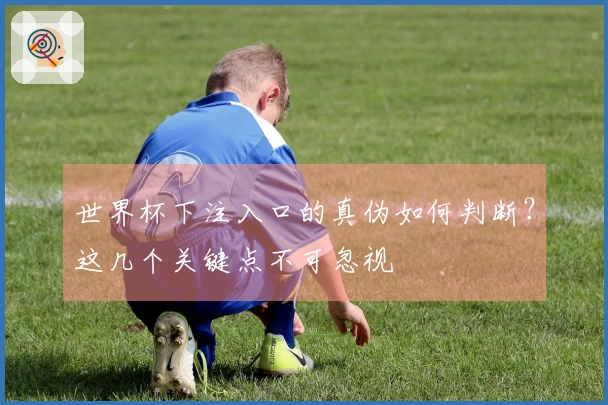 世界杯下注入口的真伪如何判断？这几个关键点不可忽视
