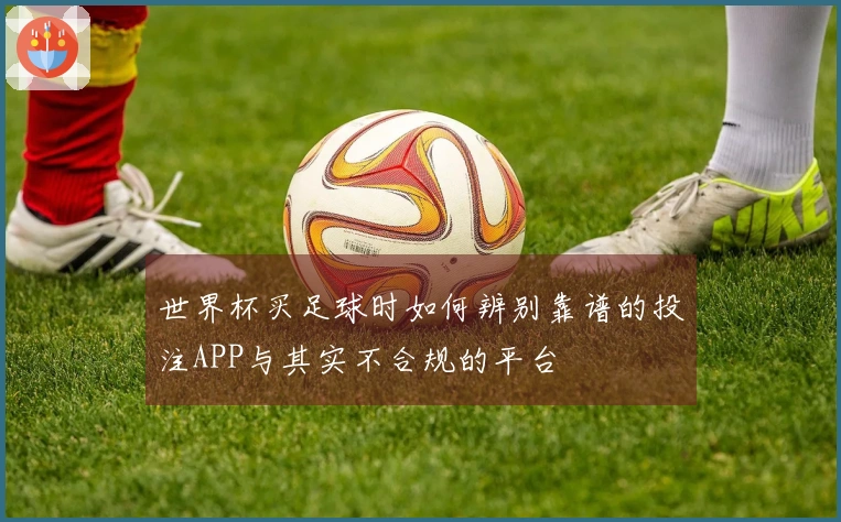 世界杯买足球时如何辨别靠谱的投注APP与其实不合规的平台