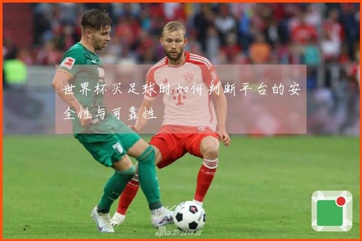 世界杯买足球时如何判断平台的安全性与可靠性