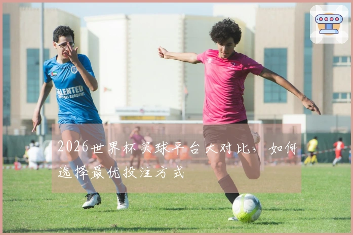 2026世界杯买球平台大对比，如何选择最优投注方式