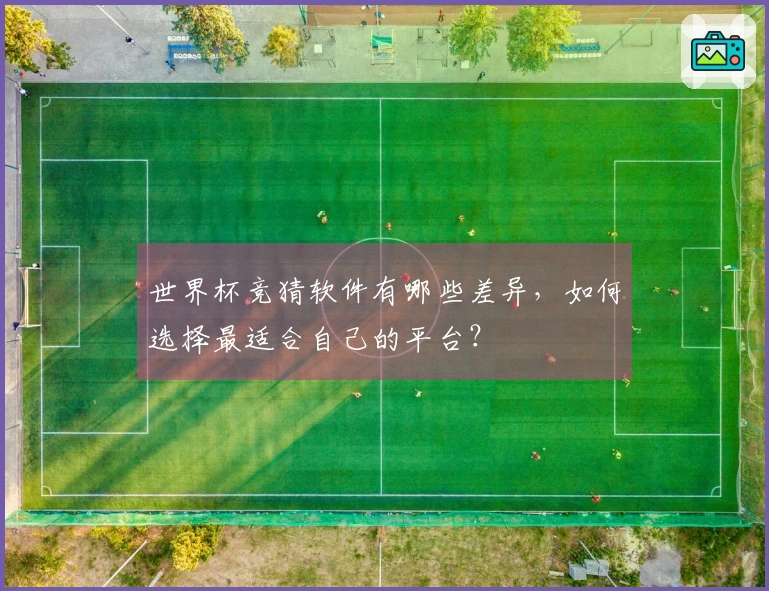 世界杯竞猜软件有哪些差异，如何选择最适合自己的平台？