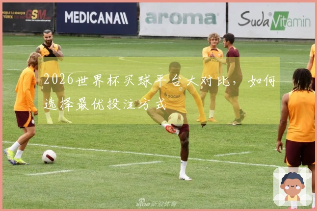 2026世界杯买球平台大对比，如何选择最优投注方式