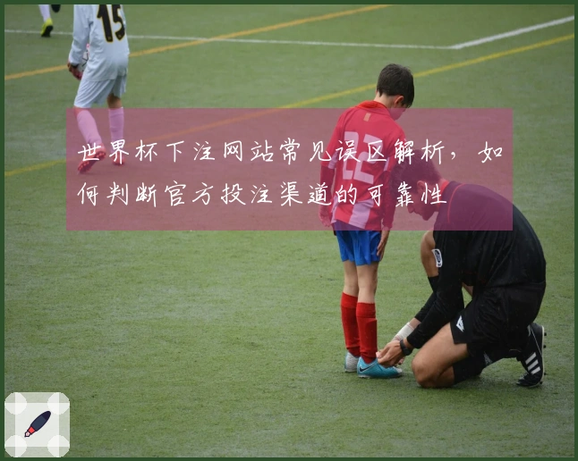 世界杯下注网站常见误区解析，如何判断官方投注渠道的可靠性