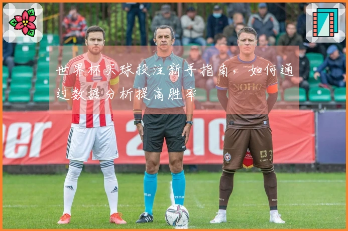 世界杯买球投注新手指南，如何通过数据分析提高胜率