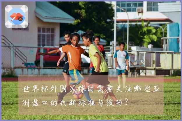 世界杯外围买球时需要关注哪些亚洲盘口的判断标准与技巧?