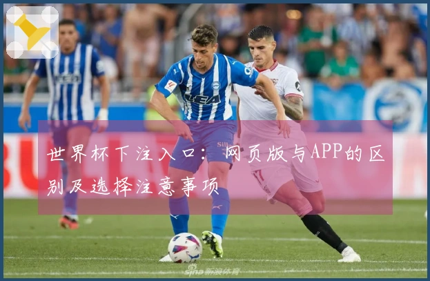 世界杯下注入口：网页版与APP的区别及选择注意事项